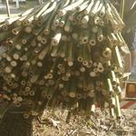 20180809 Fazenda Bambu carregamento para venda (3)