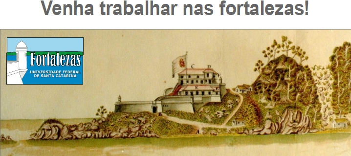 Vaga_bolsisita_História