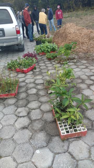 20180815 Fazenda aula plantas ornamentais e paisagismo Pedrotti jardinagem prédio fitotecnia (2)