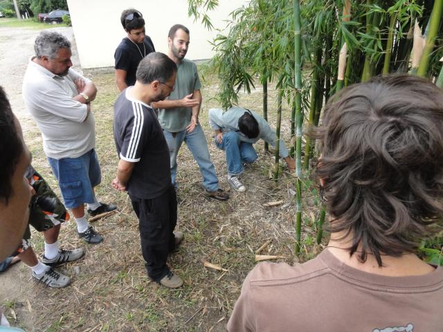 20110326 Fazenda Curso Bambu Cultivo e Manejo 004.jpg
