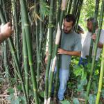 20110326 Fazenda Curso Bambu Cultivo e Manejo 025.jpg