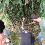 20110326 Fazenda Curso Bambu Cultivo e Manejo 026.jpg