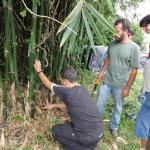 20110326 Fazenda Curso Bambu Cultivo e Manejo 027.jpg
