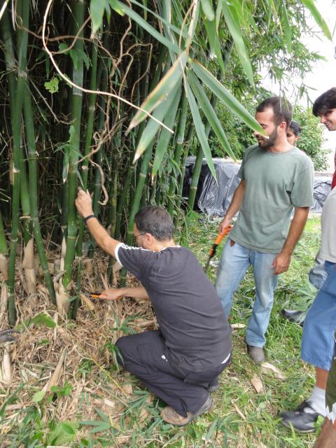 20110326 Fazenda Curso Bambu Cultivo e Manejo 027.jpg