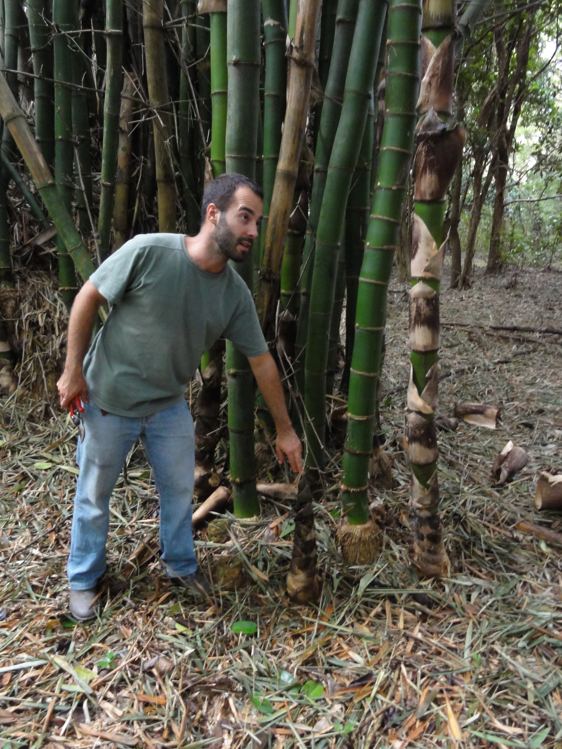 20110326 Fazenda Curso Bambu Cultivo e Manejo 030.jpg