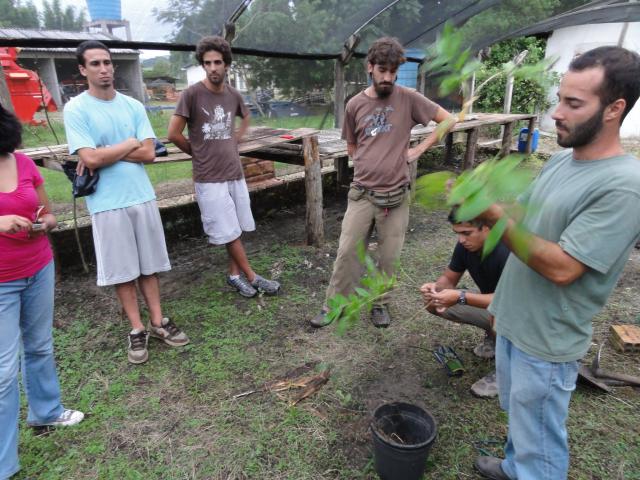 20110326 Fazenda Curso Bambu Cultivo e Manejo 044.jpg