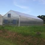 20220217 Fazenda Estruturas Casa de vegetação estufa