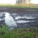 20190128 Fazenda área arroz alagado lavouras