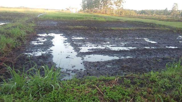 20190128 Fazenda área arroz alagado lavouras
