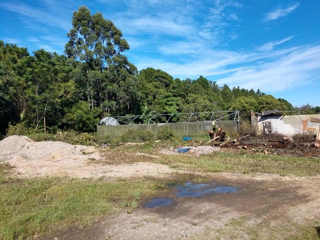 20190221 Fazenda corte de árvores para construção de galpão de máquinas (11)