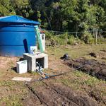 20190411 Fazenda Irrigação sistem gotejamento abacaxis