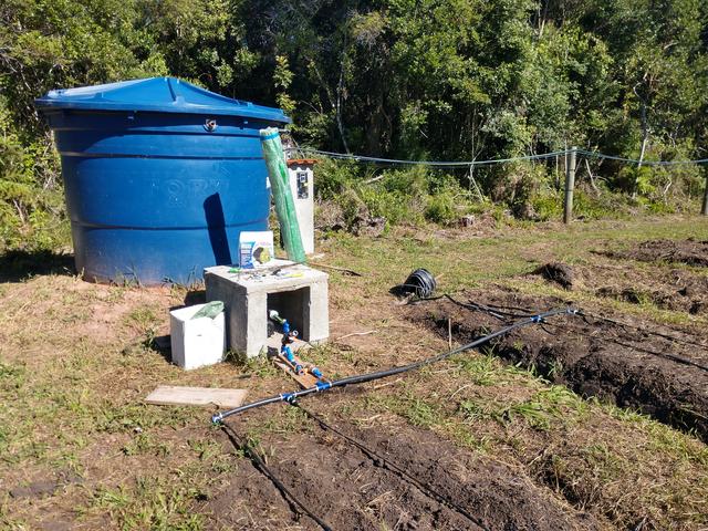 20190411 Fazenda Irrigação sistem gotejamento abacaxis
