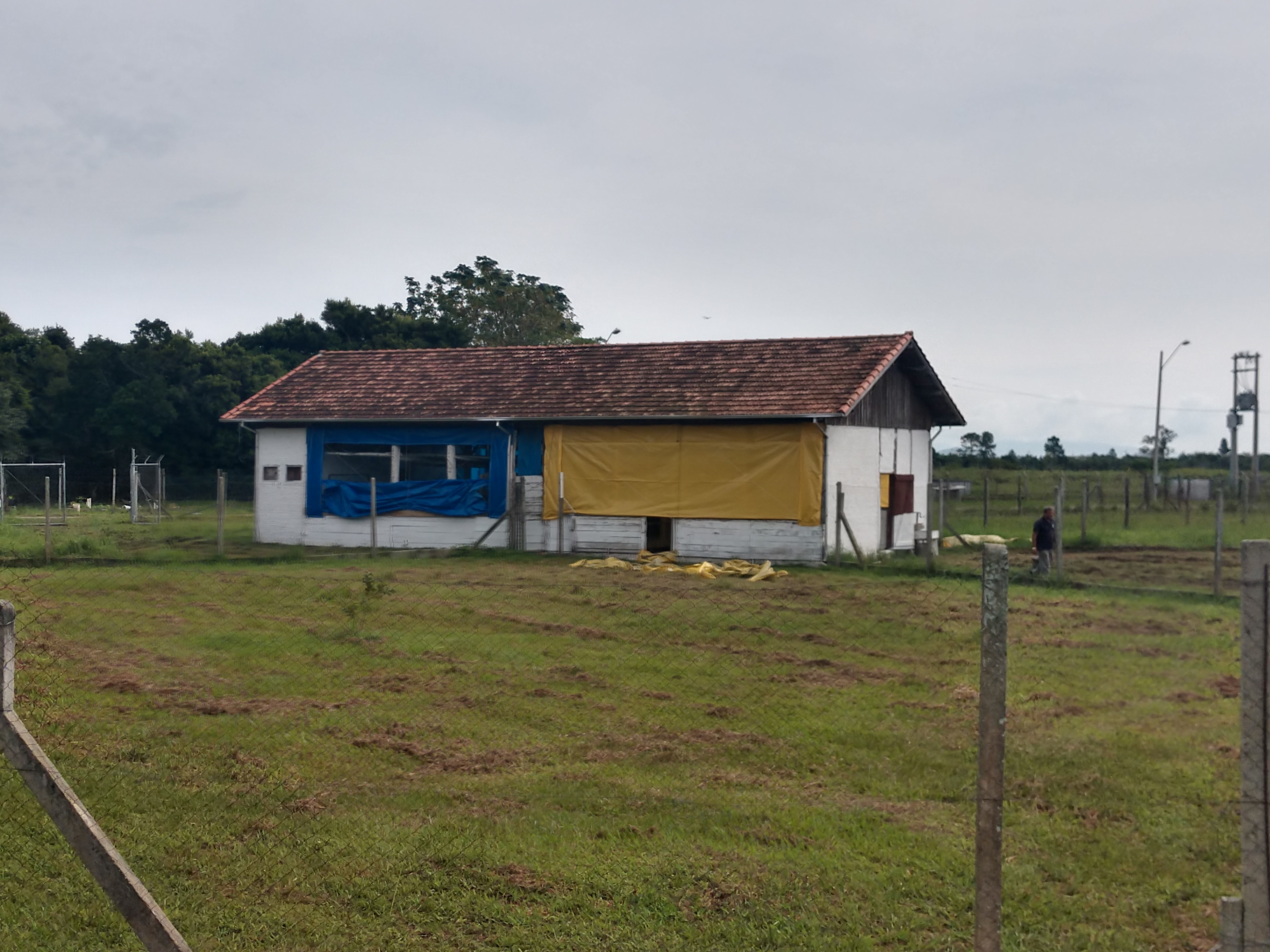 20190425 Fazenda Estrutura aviário e coelhário