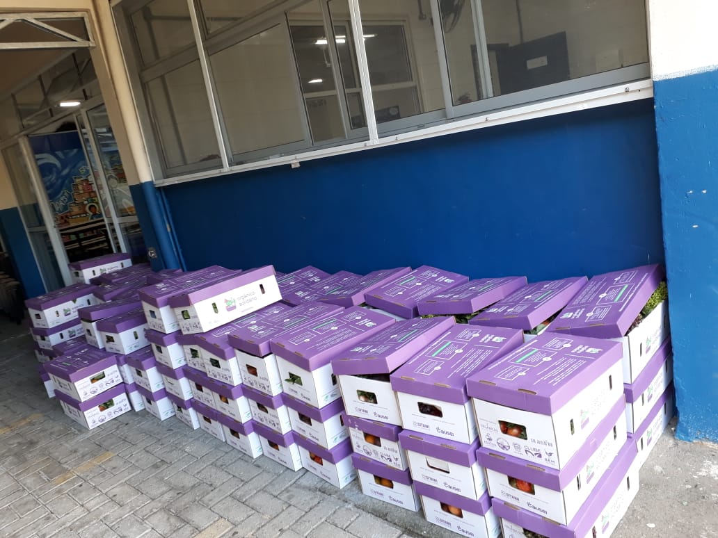 Caixas prontas