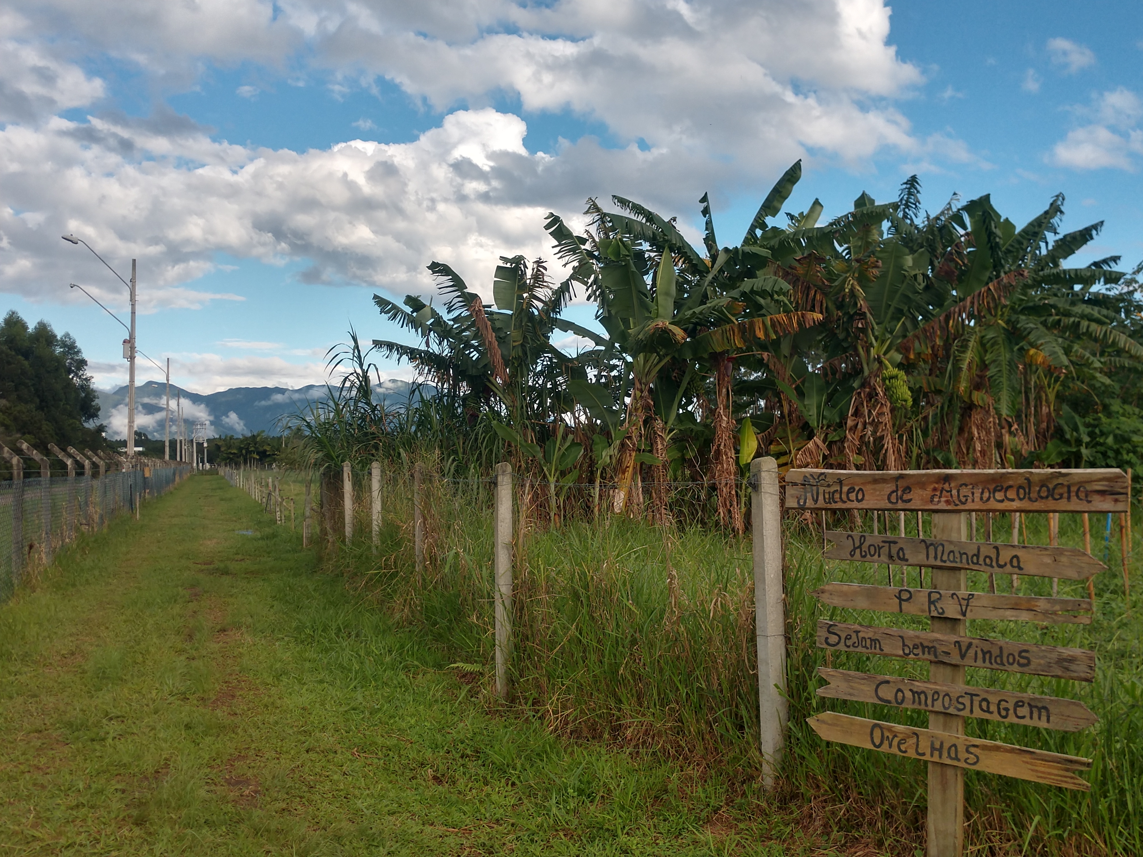 20190514 Fazenda Núcleo de agroecologia placas entrada Patrizia (1)