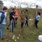 20190604 Fazenda Aula Fruticultura poda videiras uvas Alberto Brighenti