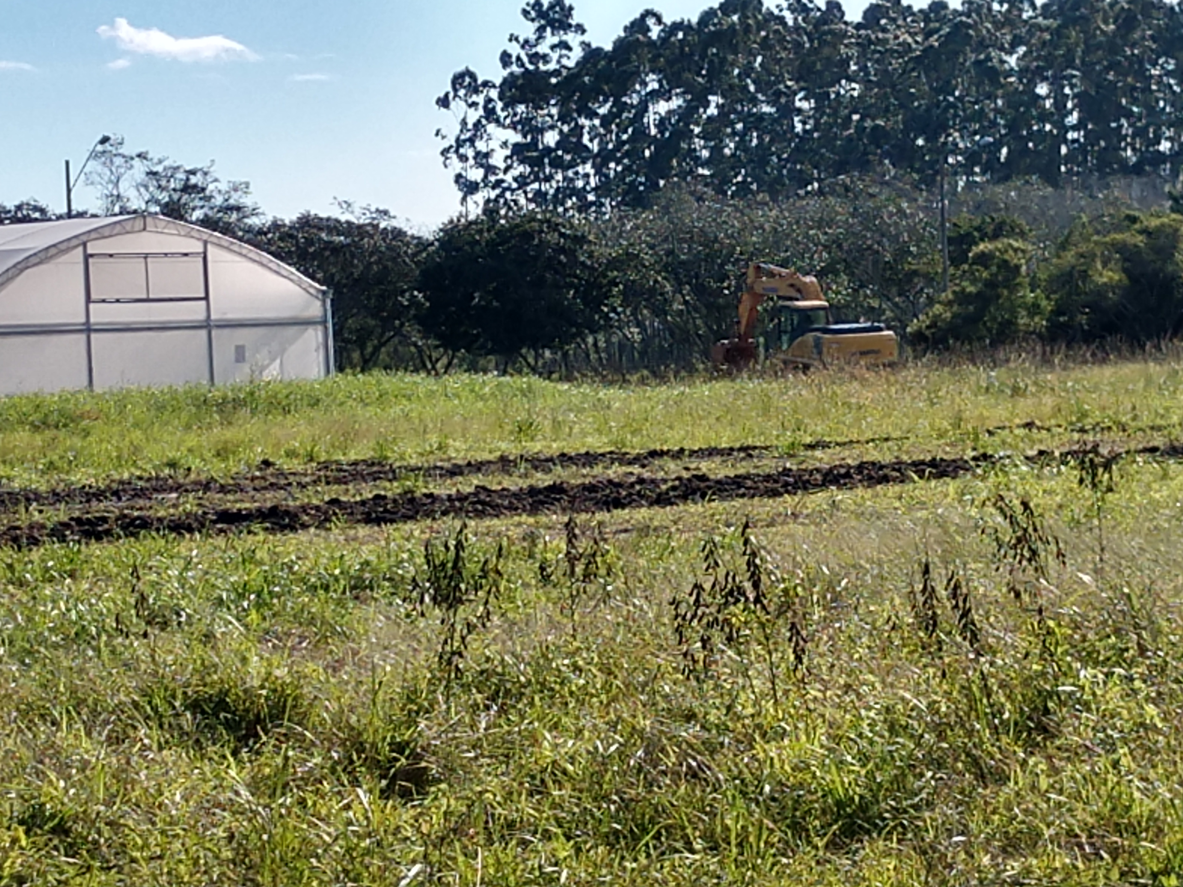 20190604 Fazenda Estruturas atrás das estufas Fito LIF antes dos aterros (20)