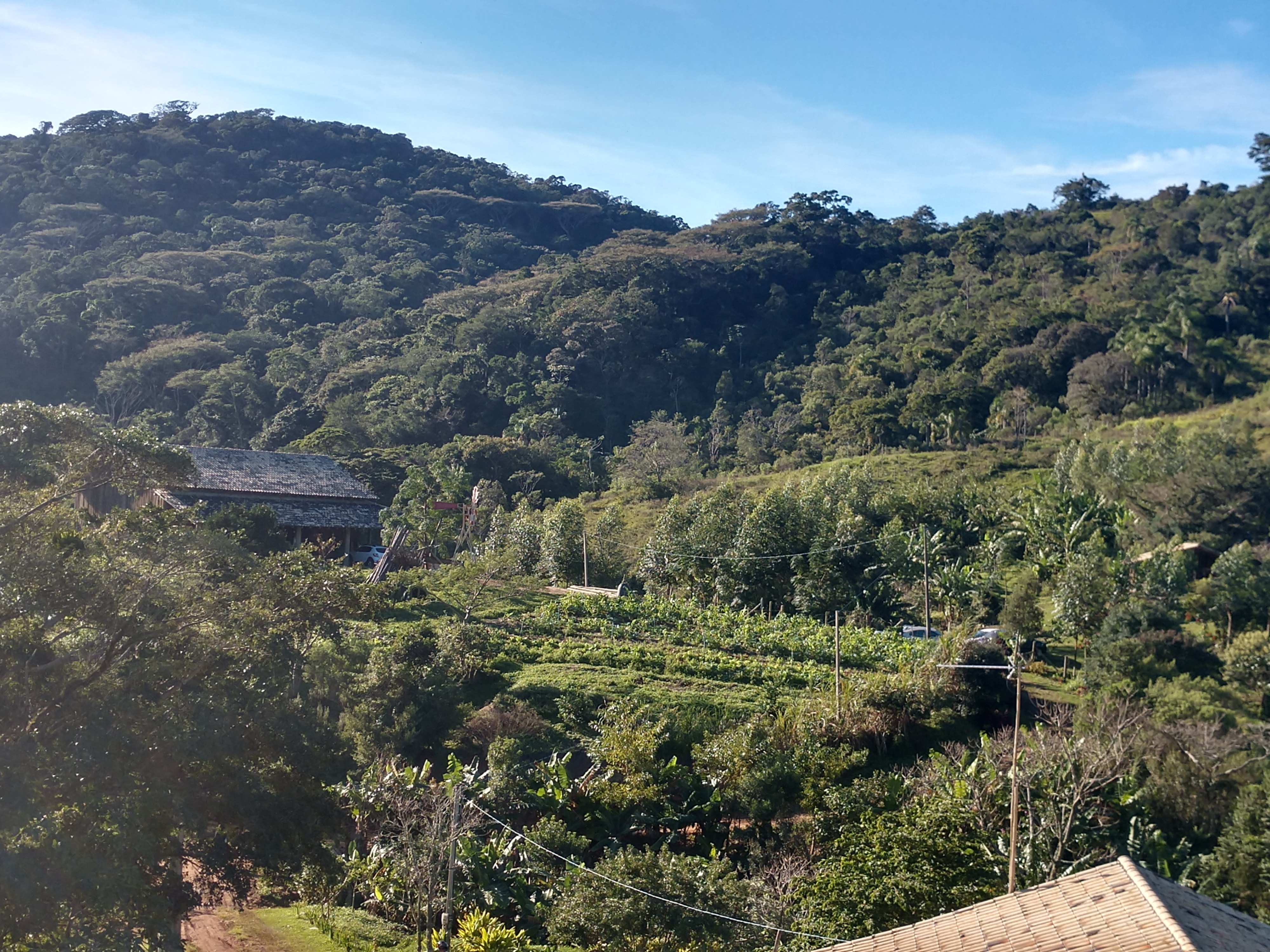 20190607 Fazenda visita SAF Agrofloresta Sítio Florbela Sertão do Ribeirão (6)