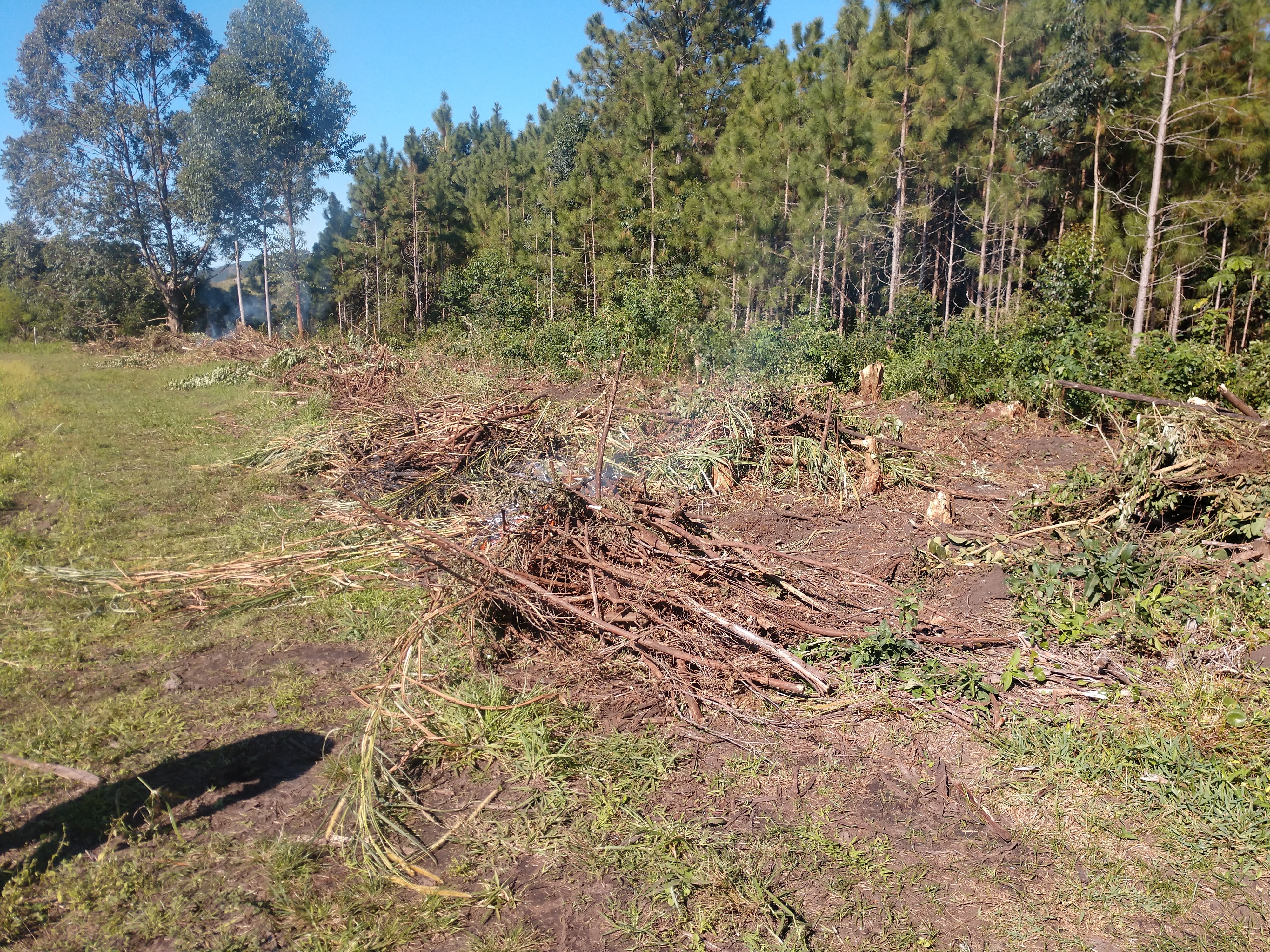 20190705 Fazenda Estruturas Destoca de árvores da borda da cerca (2)