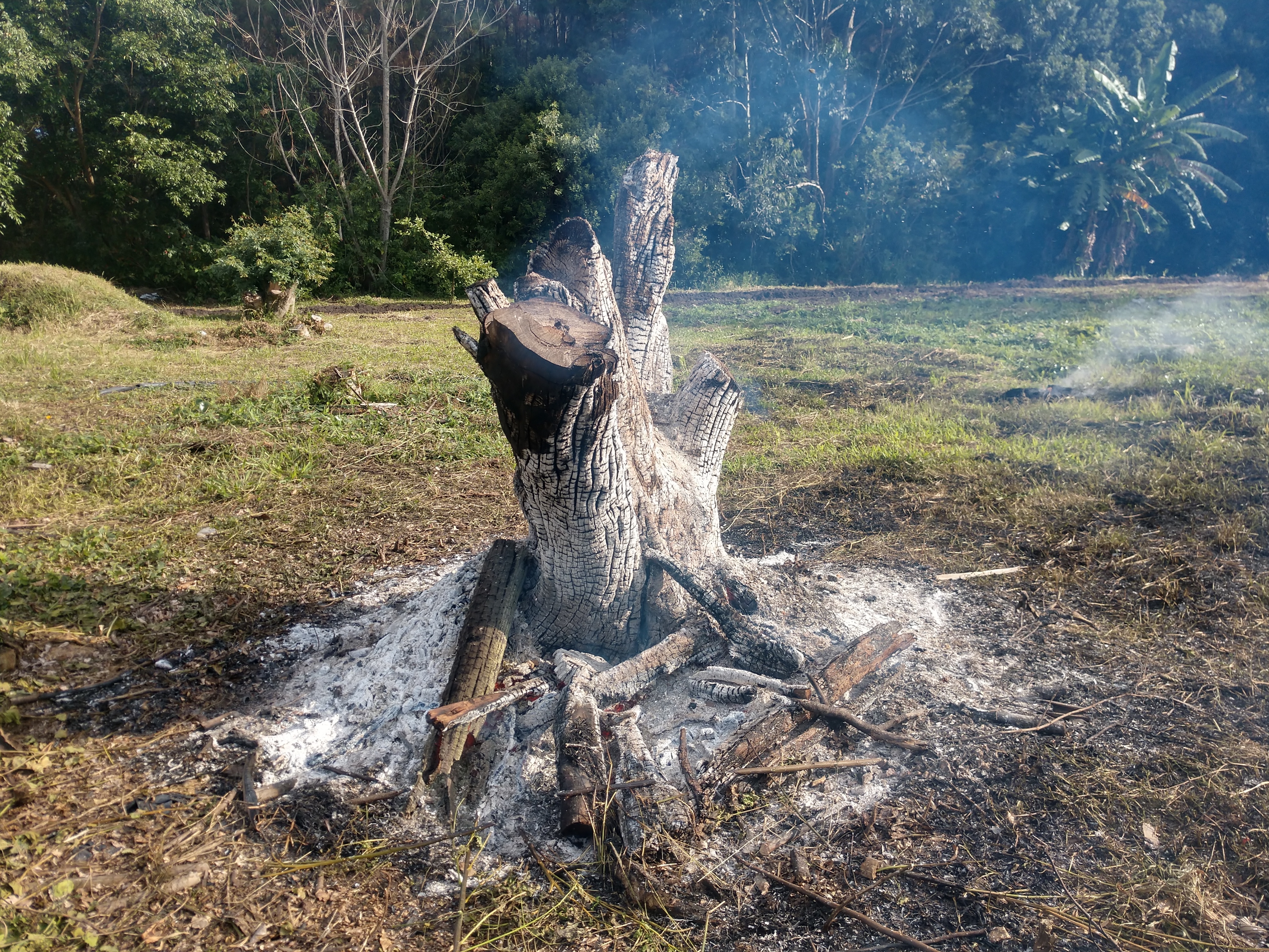 20190705 Fazenda queima de toco de árvore a ser destocada ao lado do galpão para construção do novo (2)