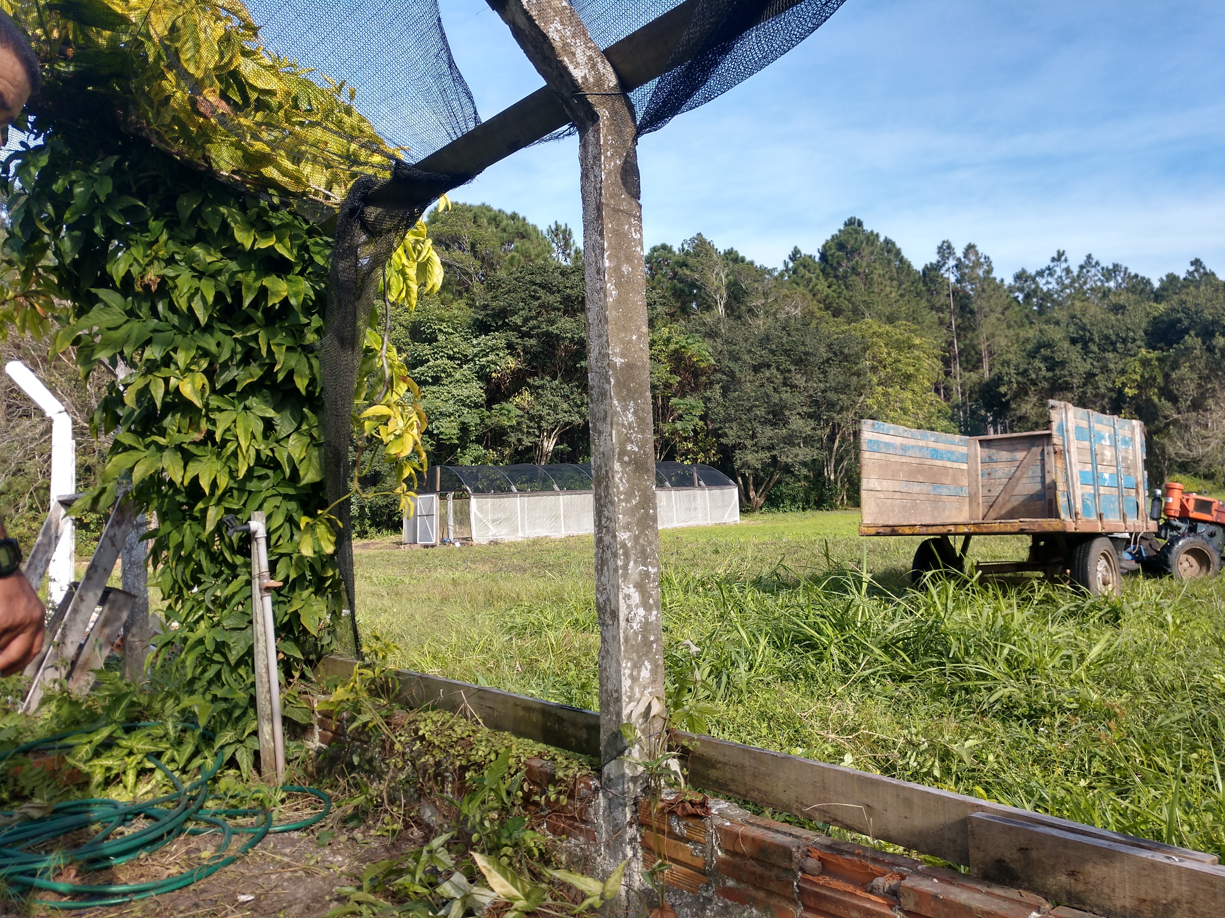 20190710 Fazenda estrutura desmonte viveiro de mudas antigo com vista para o novo (1)
