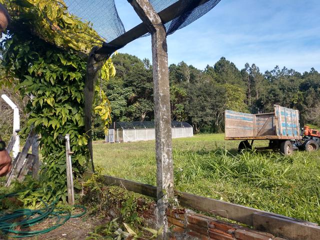 20190710 Fazenda estrutura desmonte viveiro de mudas antigo com vista para o novo (1)