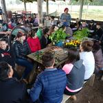 20190718 Fazenda aula EduCampo Agroecologia (1) Núcleo ovinos Marilia Gaia Edaciano