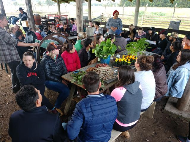 20190718 Fazenda aula EduCampo Agroecologia (2) Marilia Gaia Edaciano