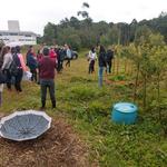 20190718 Fazenda aula EduCampo Agroecologia (7) SAF Agrofloresta