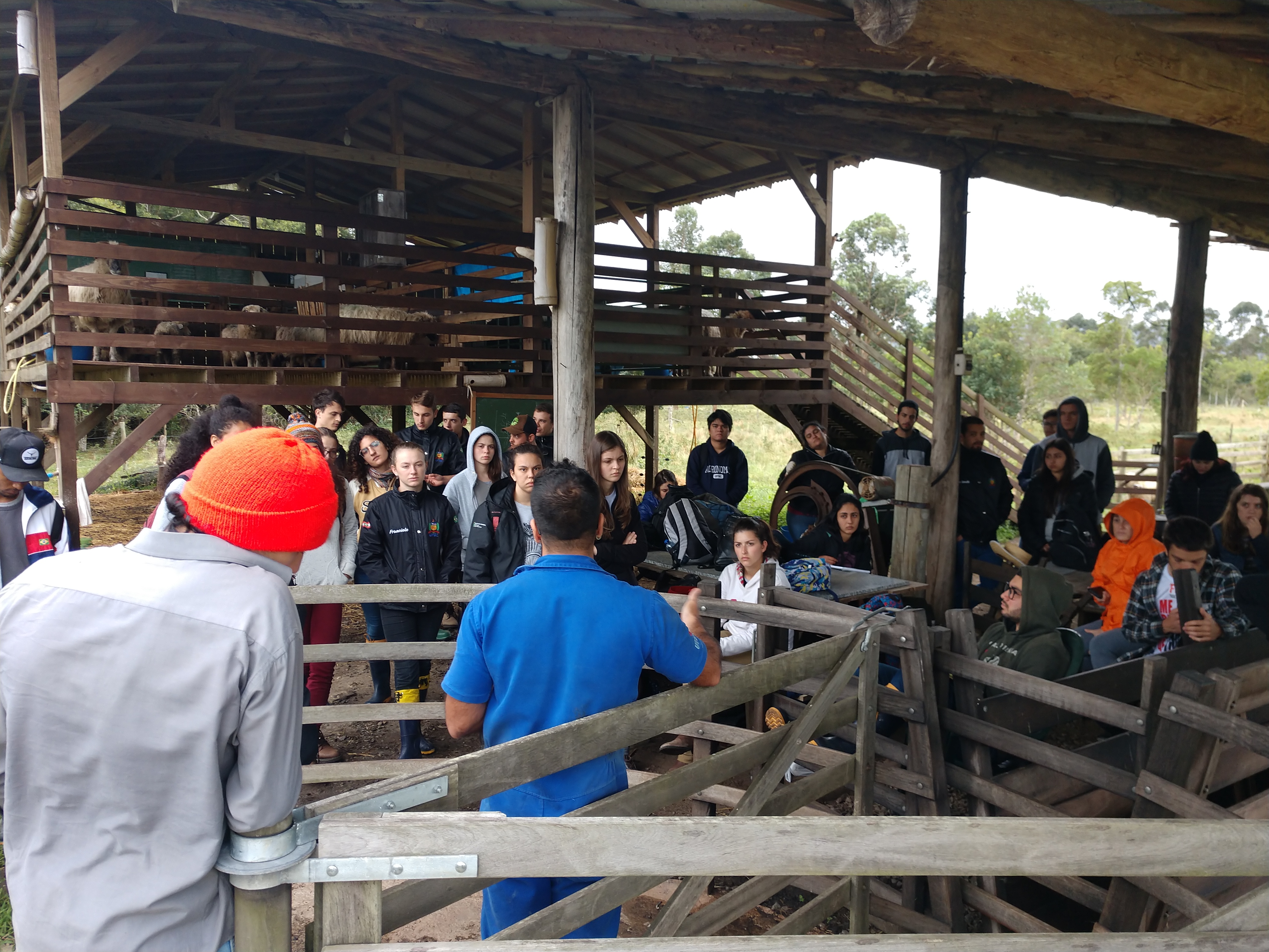 20190819 Fazenda Ovinocultura Aula Manejo ovelhas (3)