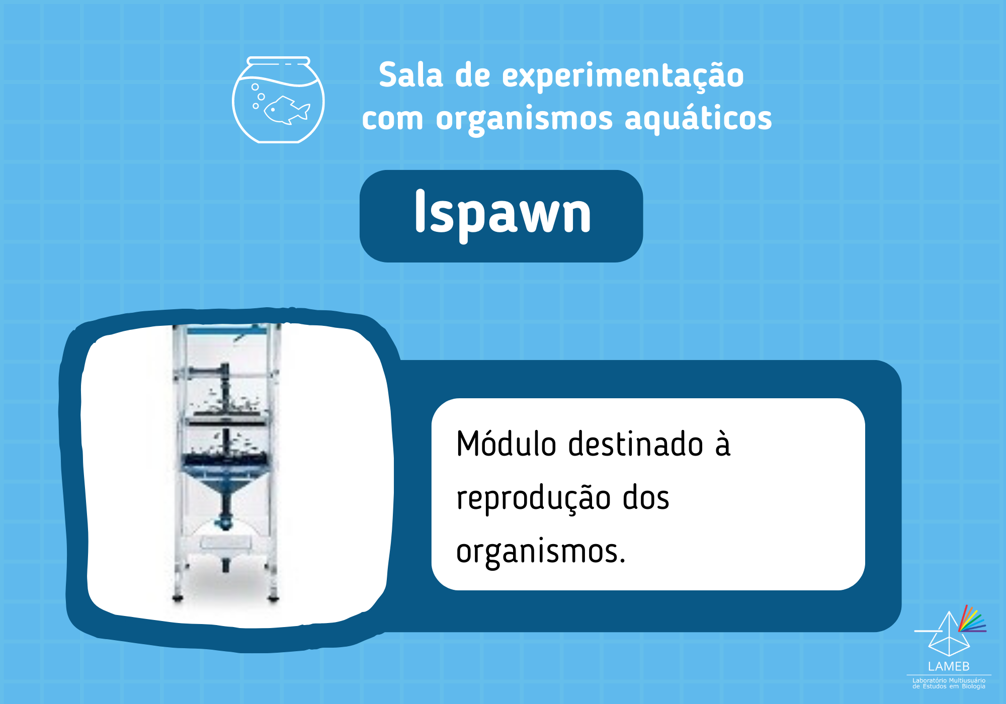 Experimentação Organismos Aquáticos (2)