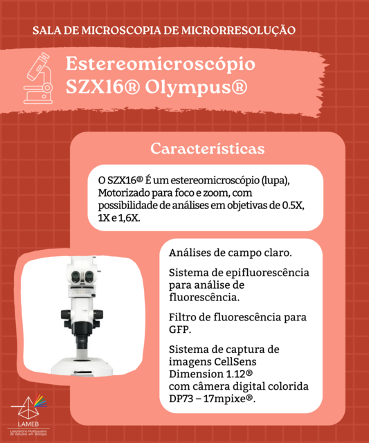 Estereomicroscópio