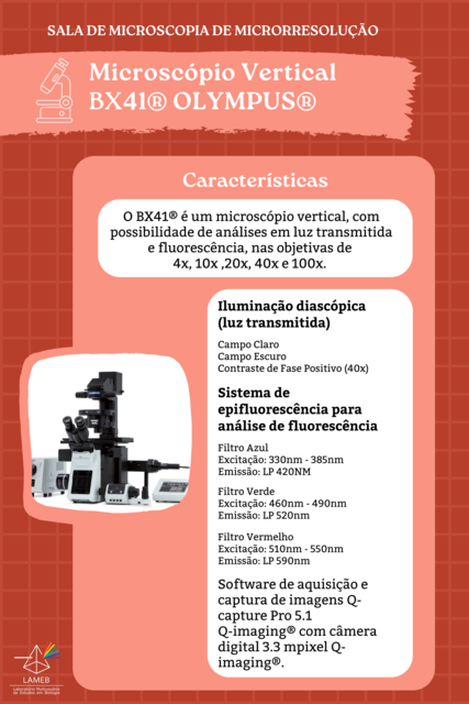#Microscópio Olympus BX41