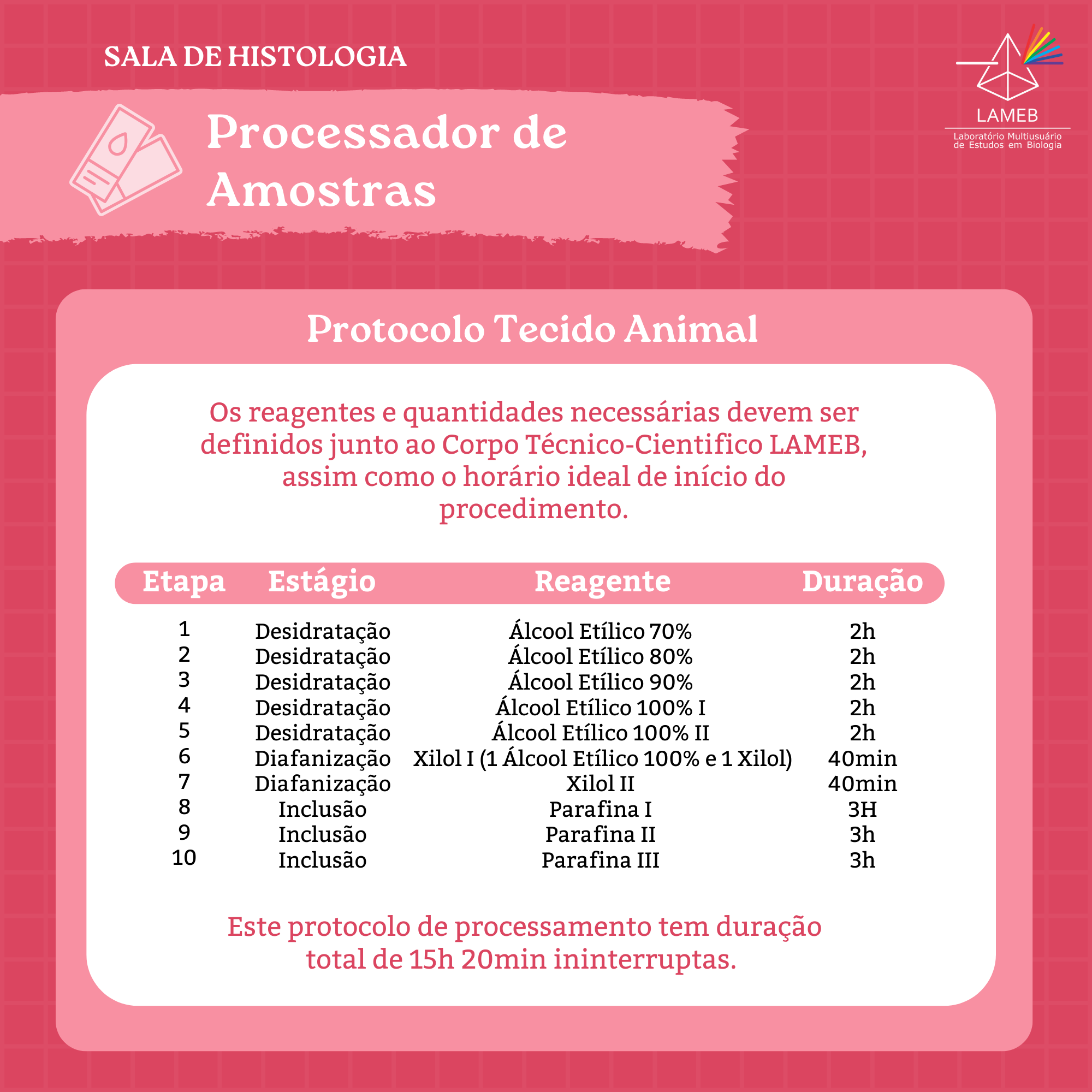 #Processador Protocolo Animal