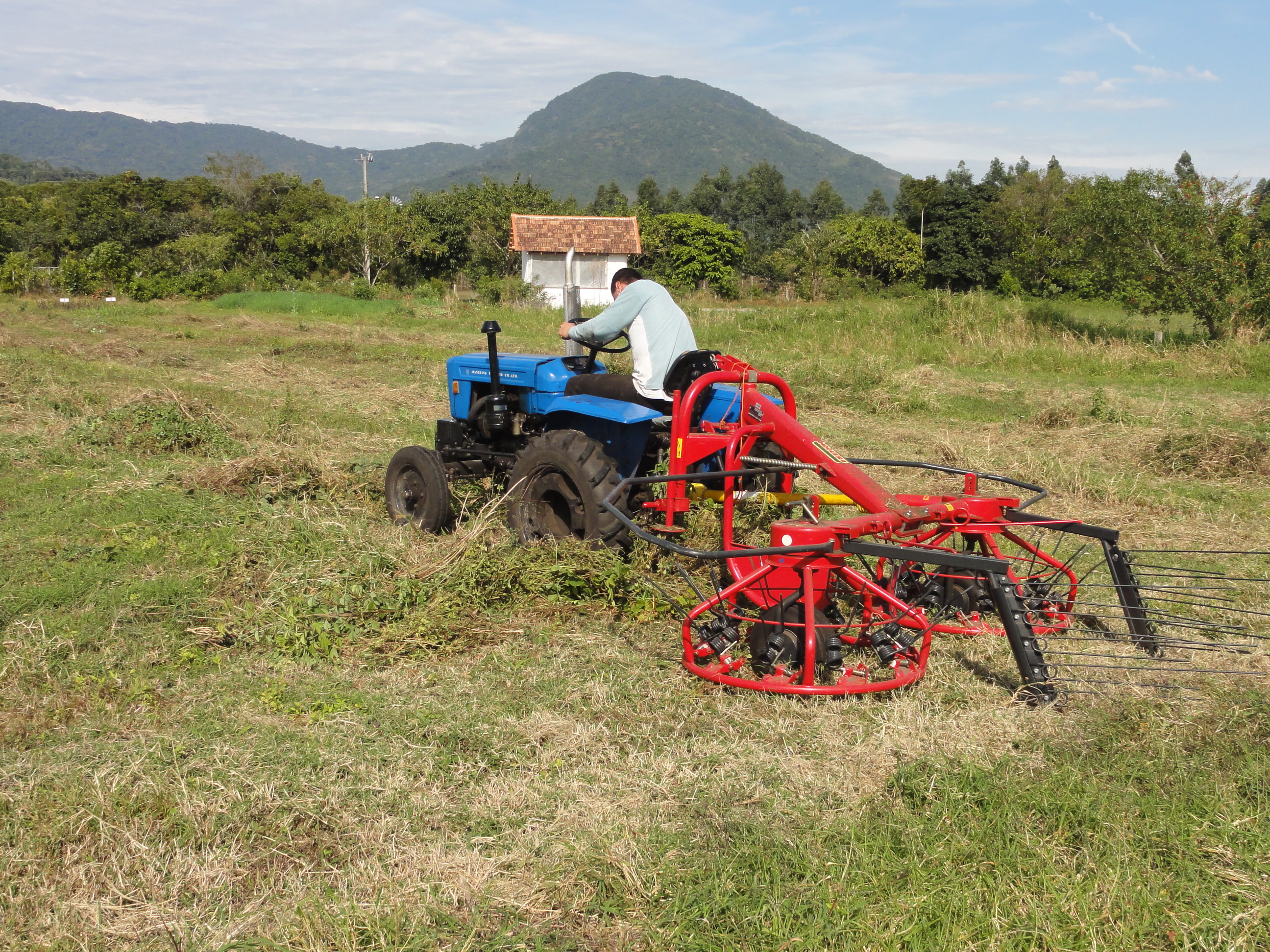 20110620 Fazenda teste enleirador fenador 010.jpg