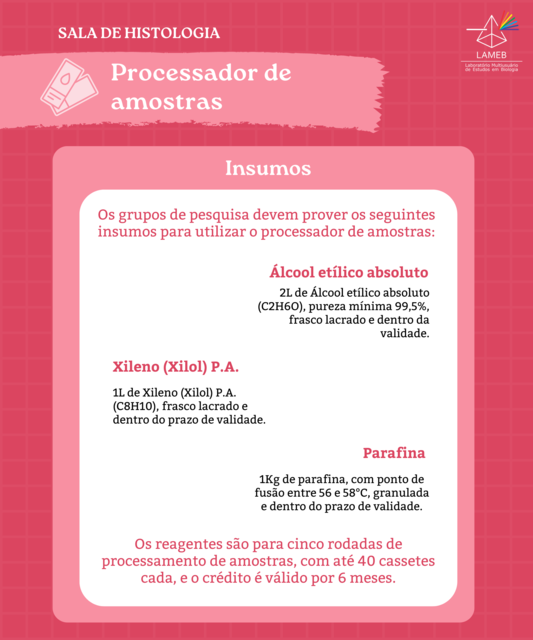 #Insumos Processador (2)