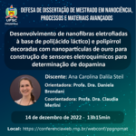 dissertação-Ana-Steil-site