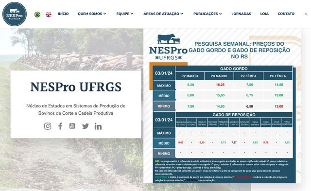 NESpro UFRGS