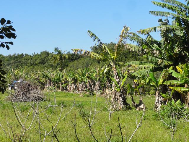 20110901 Fazenda Corte Bananal 001.jpg