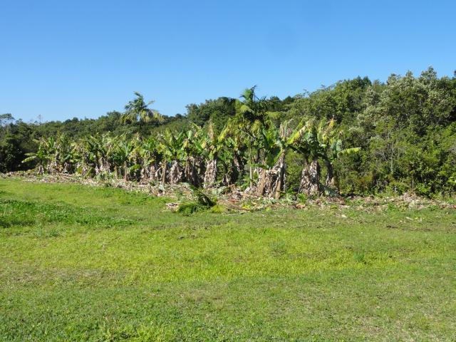 20110901 Fazenda Corte Bananal 002.jpg