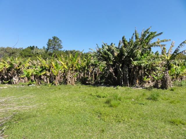 20110901 Fazenda Corte Bananal 004.jpg