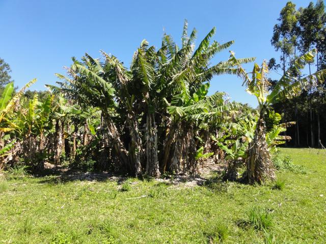 20110901 Fazenda Corte Bananal 005.jpg