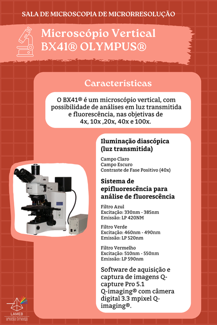 Microscópio Olympus BX41