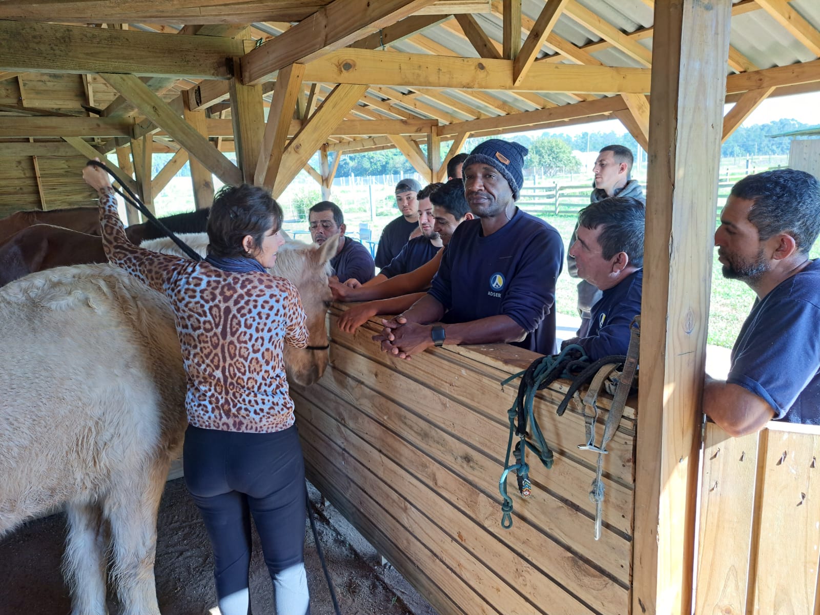 20230803 Fazenda Equinocultura curso terceirizados 1