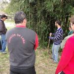 20110903 Fazenda Curso Bambu Cultivo e Manejo touceira 008.jpg