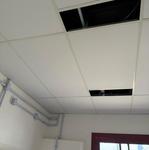 IMG_05 – 2024-08-12