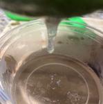 Secreção Fisiológica 5