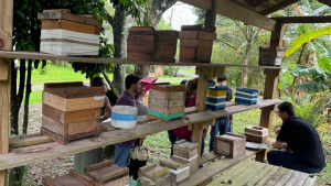 parqueCaptura-de-tela-2024-12-06-171916-e1733516673611-300x169