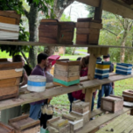 parqueCaptura-de-tela-2024-12-06-171916-e1733516673611-300x169
