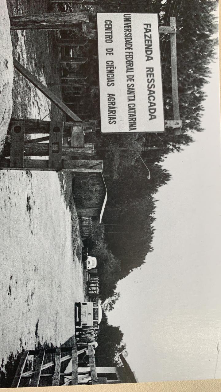 Fazenda década 1980